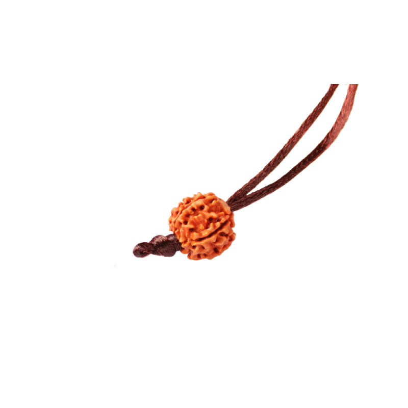 five-mukhi-rudraksha-real-beads-benefits-of-5-mukhi-rudraksh-shop-at